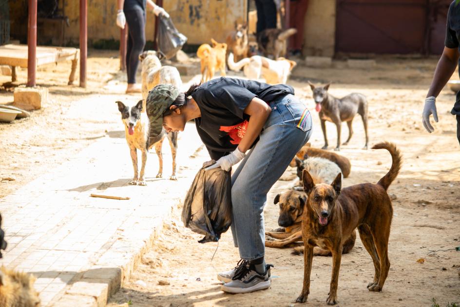 LML Volunteer cleaning in dog shelter