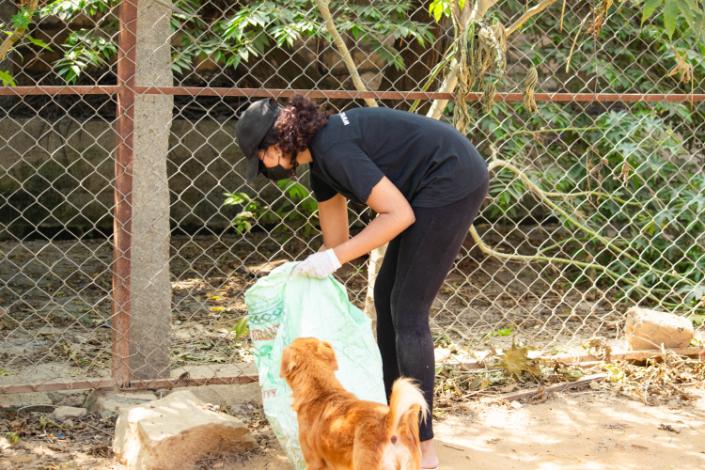 LML Volunteer cleaning while doggo looks at her