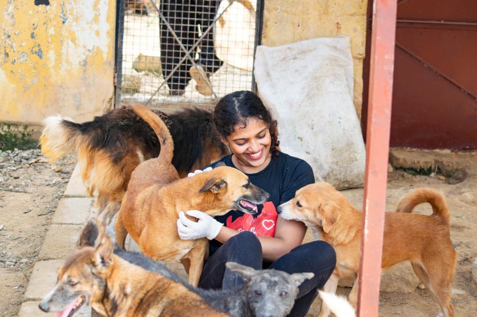 LML volunteer with rescued indies